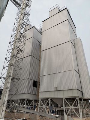 5HSN-100 Σύστημα ξήρανσης ρυζιού Μοντέλα υψηλής χωρητικότητας και κατάρτιση Υποστήριξη μετά την πώληση για βέλτιστα αποτελέσματα