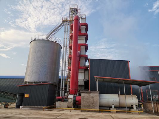 Έξυπνος Στεγνωτήρας Καλαμποκιού Αντίθετης Ροής – 30+ Χρόνια Εμπειρίας, Σχεδιασμένος για Παγκόσμια Αριστεία